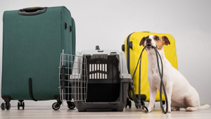 Pet Relocations