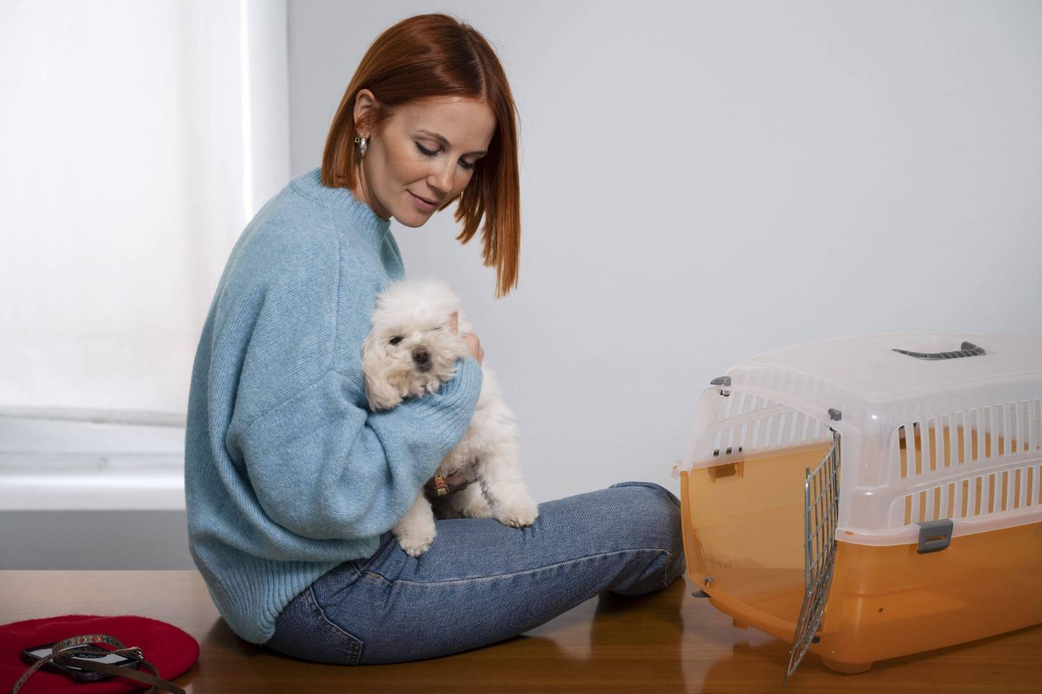 Safe and comfortable pet transport services in India – scaled image