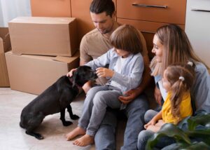 International Pet Relocation: How to Make the Process Smooth and Safe