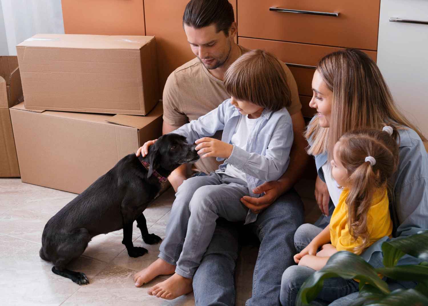 International Pet Relocation: How to Make the Process Smooth and Safe