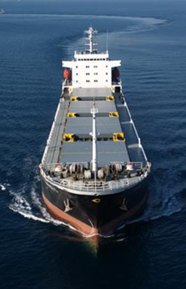 Bulk Carriers