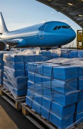 Roll-on / Roll-off (Ro-Ro) Ships