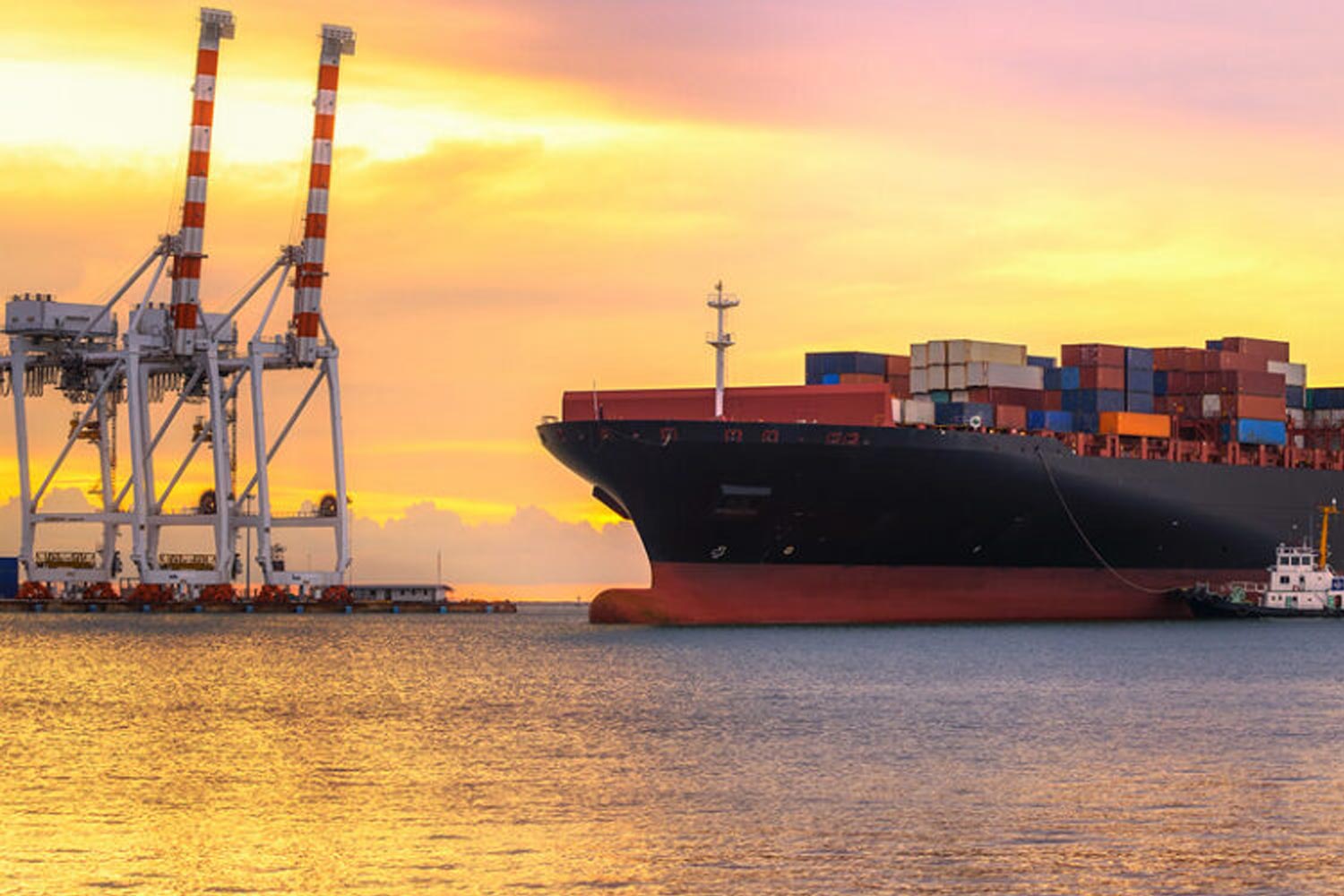 Sea Freight Services